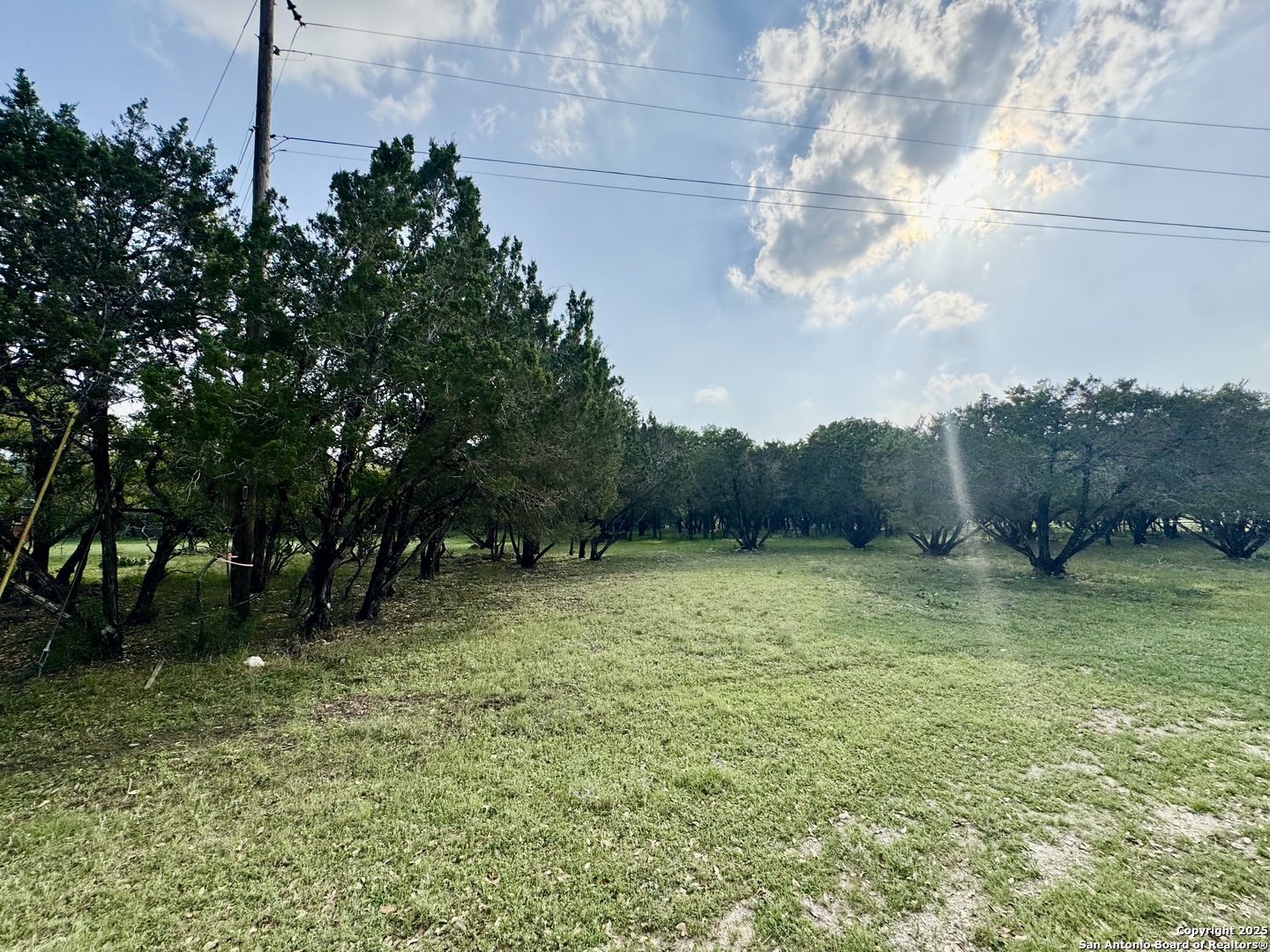 1160 Whispering Water Spring Branch, TX 78070 - Photo 4 of 19