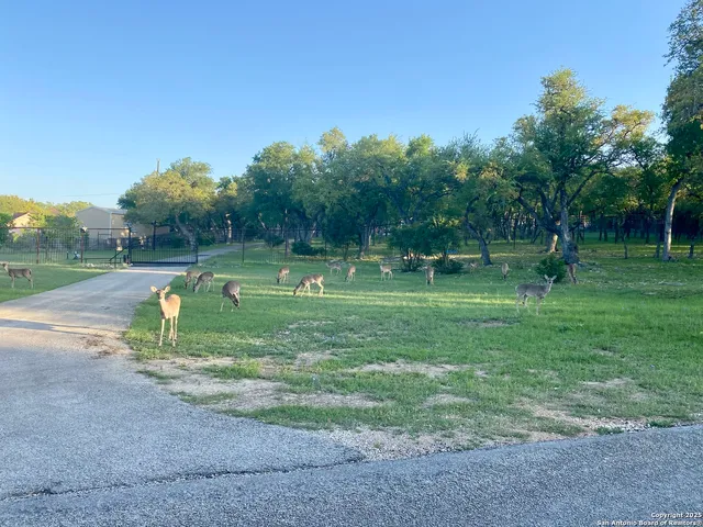 $240,000 | 1160 Whispering Water, Spring Branch, TX 78070