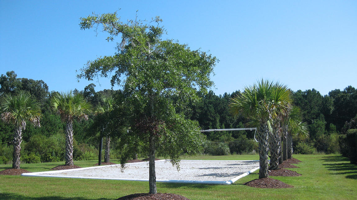 1586 Grey Marsh Road Mount Pleasant, SC 29466 - Photo 39 of 42 Park West Beach Volleyball