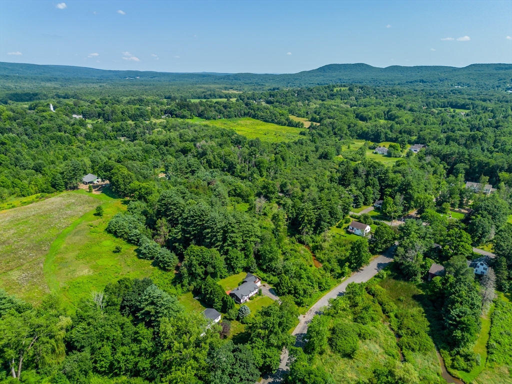 17 Pomeroy Court Amherst, MA 01002 - Photo 8 of 41 a view of a lush green forest with lots of trees