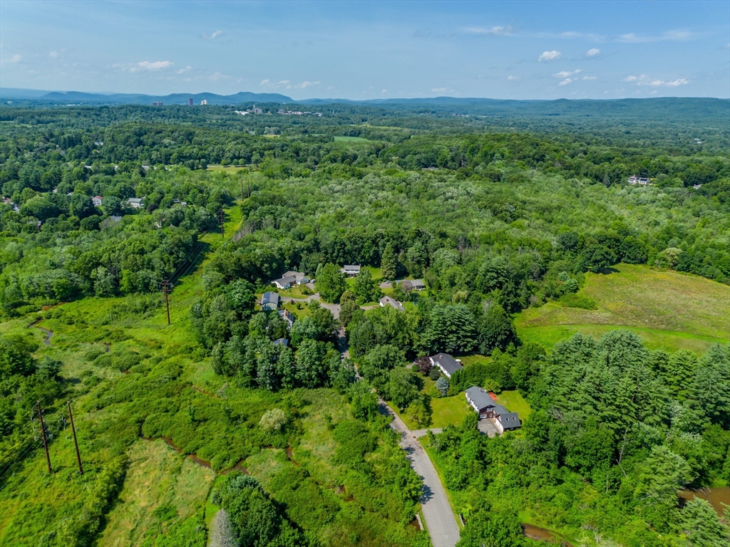 17 Pomeroy Court Amherst, MA 01002 - Photo 9 of 41 a view of a lush green forest with lots of trees