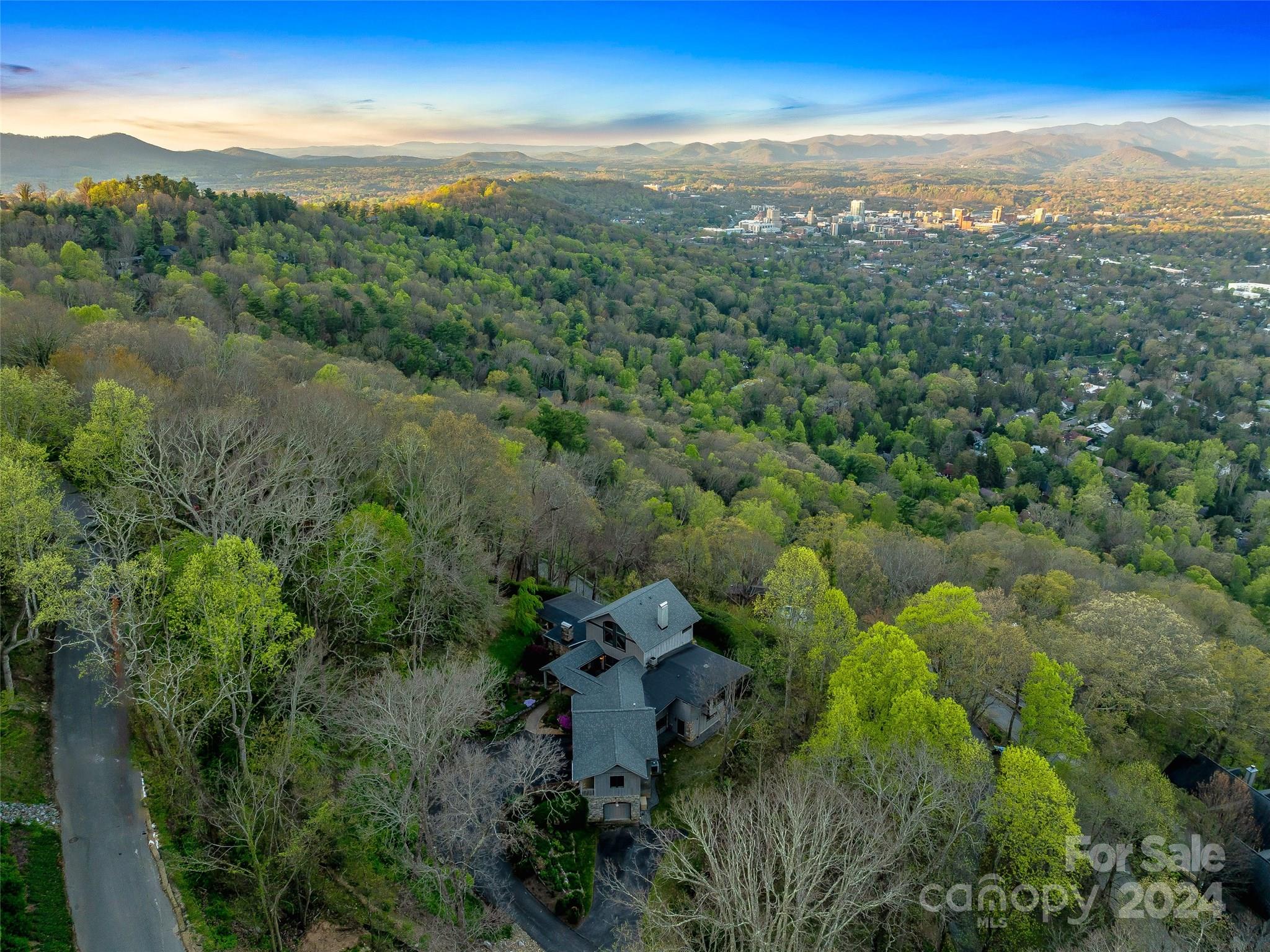 175 Bent Tree Road Asheville, NC 28804 - Photo 8 of 48 Gallery Image 8