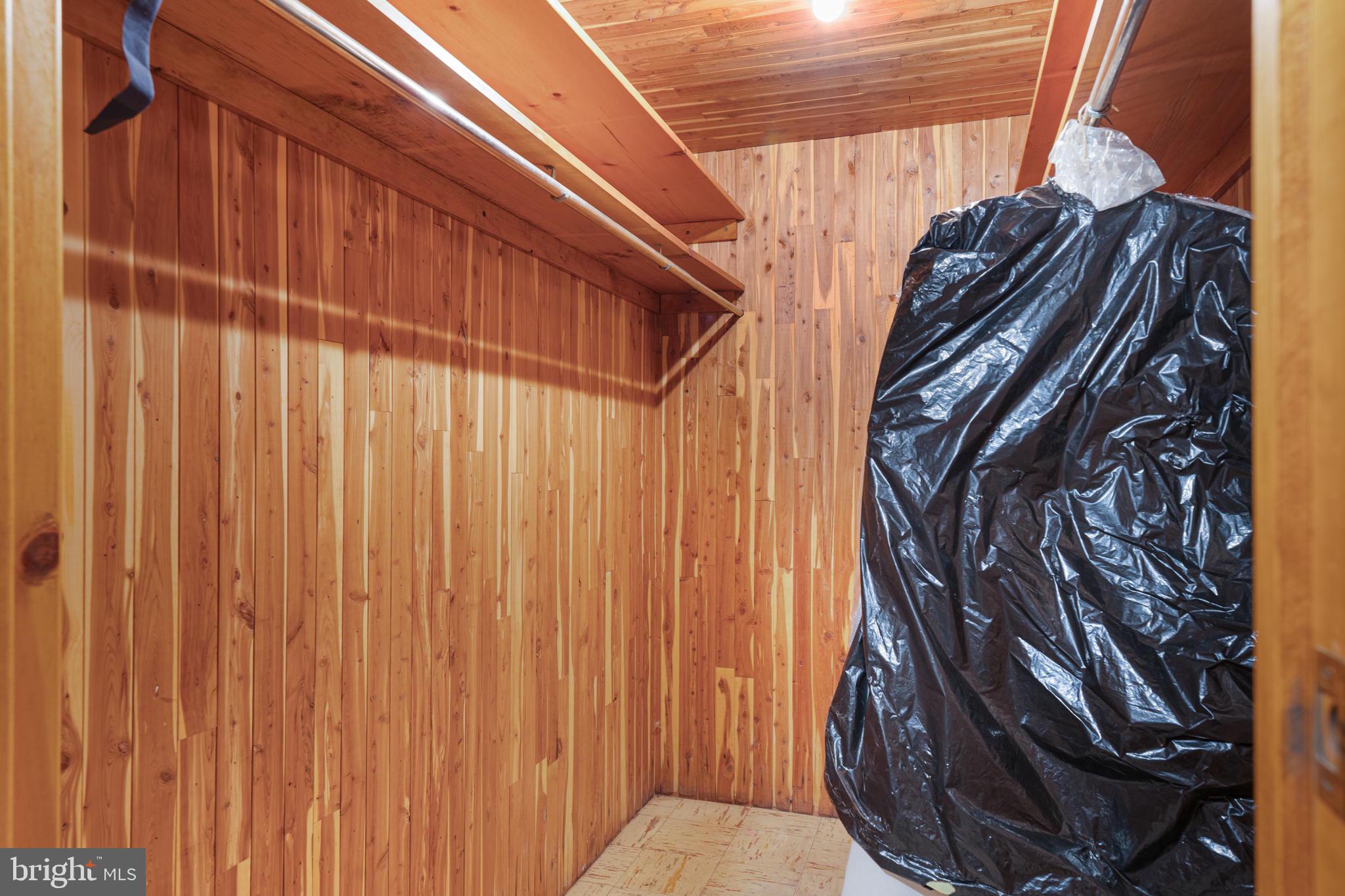 415 School Lane Wayne, PA 19087 - Photo 28 of 32 Cedar closet in basement