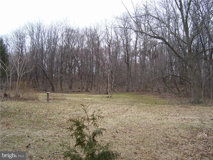 35 Ehst Road Bechtelsville, PA 19505 - Photo 5 of 14 Back Yard