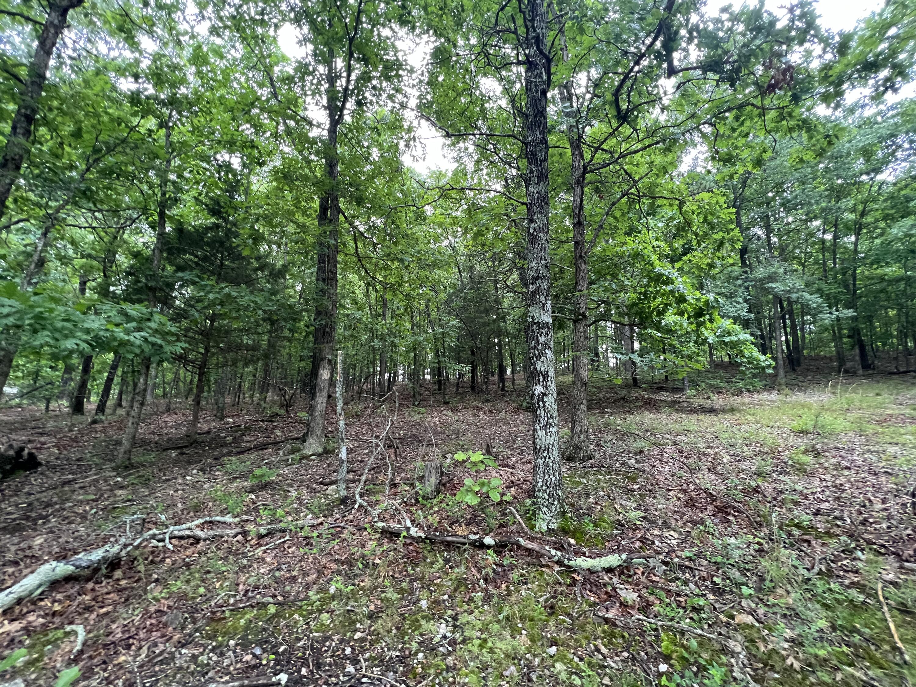 15768 Sargent Road Willow Springs, MO 65793 - Photo 12 of 16 33A02EE4-C009-4D1E-B9AA-24B4AA4E0C24