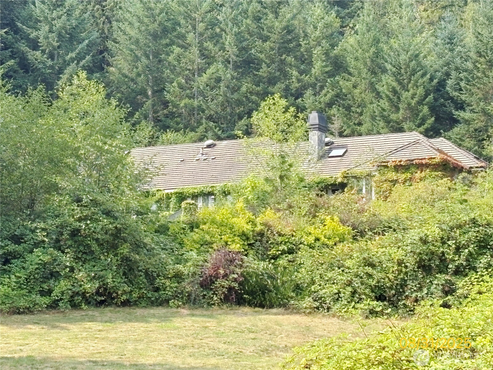31433 Southeast 62nd Way Fall City, WA 98024 - Photo 40 of 40 a view of a garden with an outdoor space
