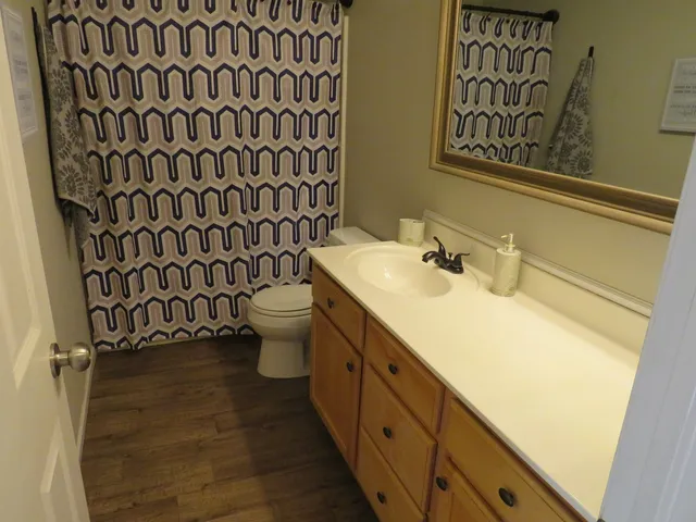 a bathroom with a sink and a toilet