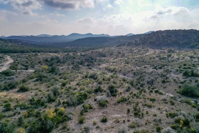 a view of a forest with a street