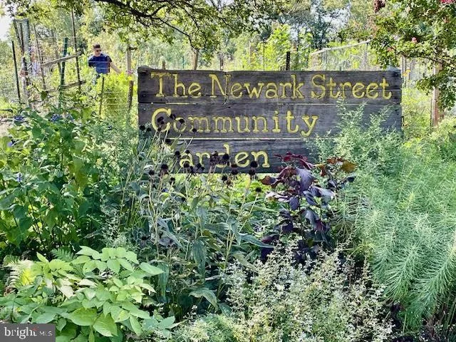 a view of a bench in the backyard
