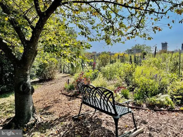 a view of a garden with a tree in back