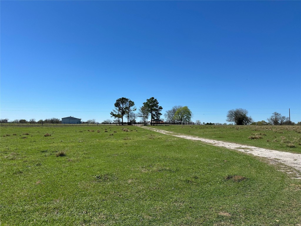 20136 Longstreet Road Richards, TX 77873 - Photo 13 of 50 a view of a grassy field with an trees