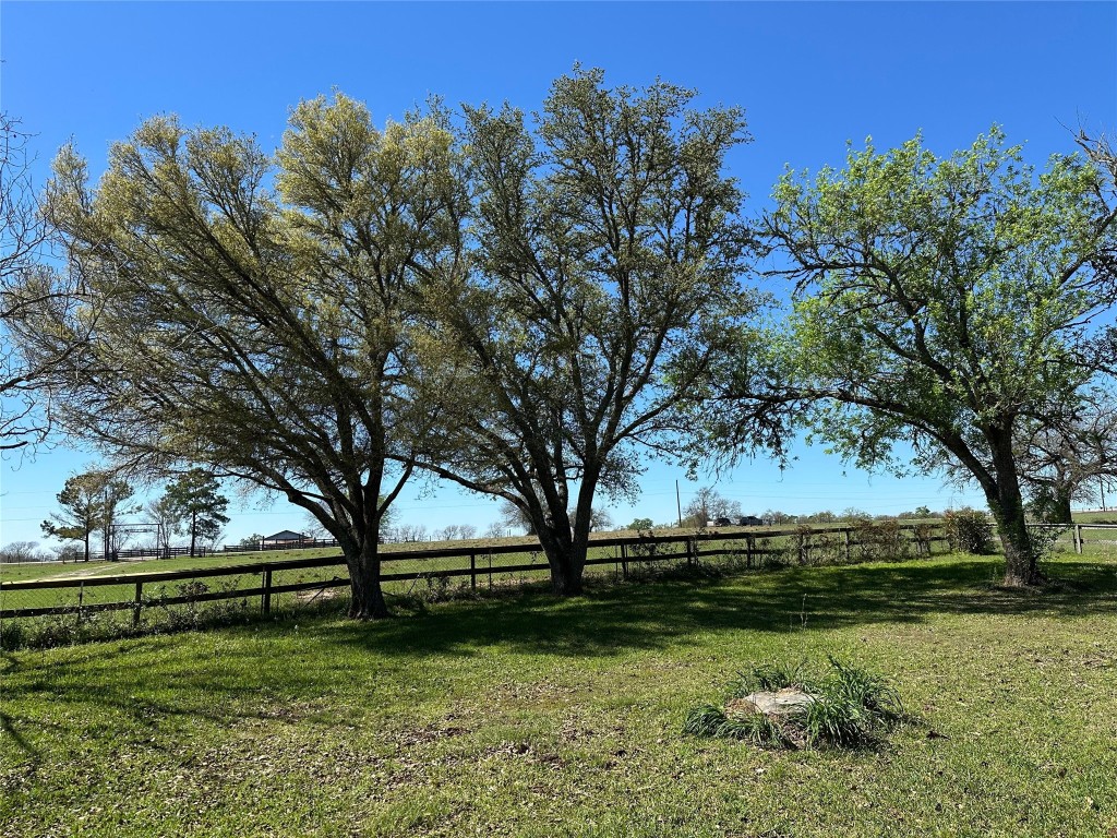 20136 Longstreet Road Richards, TX 77873 - Photo 23 of 50 a view of backyard with green space