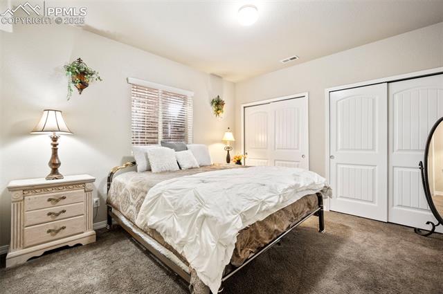 7692 Wichita Ridge Point Colorado Springs, CO 80923 - Photo 20 of 29 Downstairs