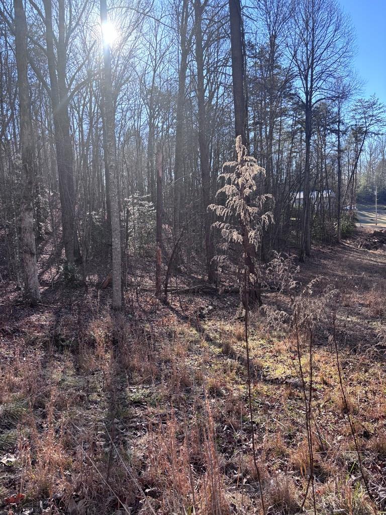 Lot 73 Bice Lane Blue Ridge, GA 30513 - Photo 1 of 14 Main View