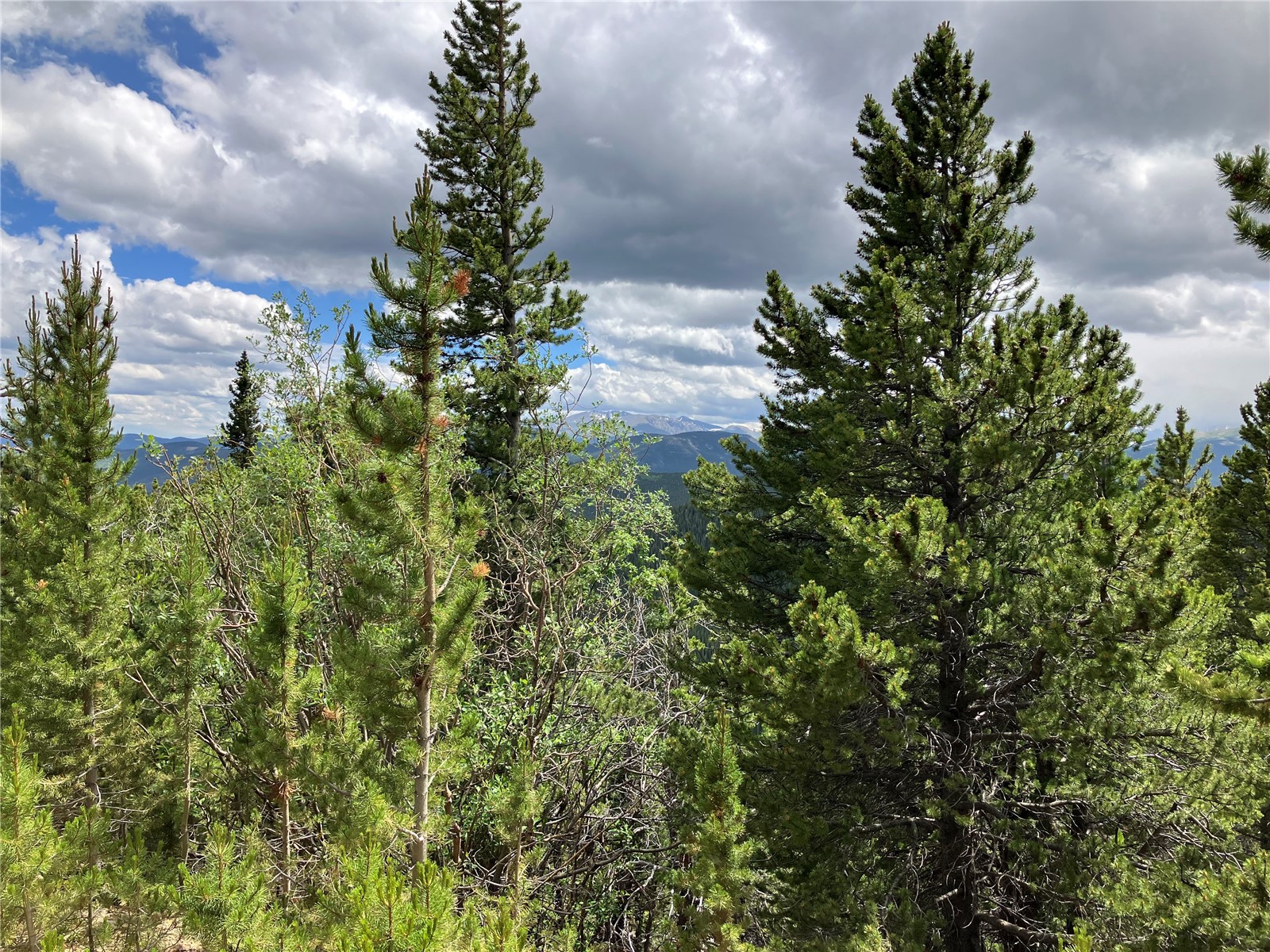 494 & 496) Road Idaho Springs, CO 80452 - Photo 3 of 3 Gallery Image 3