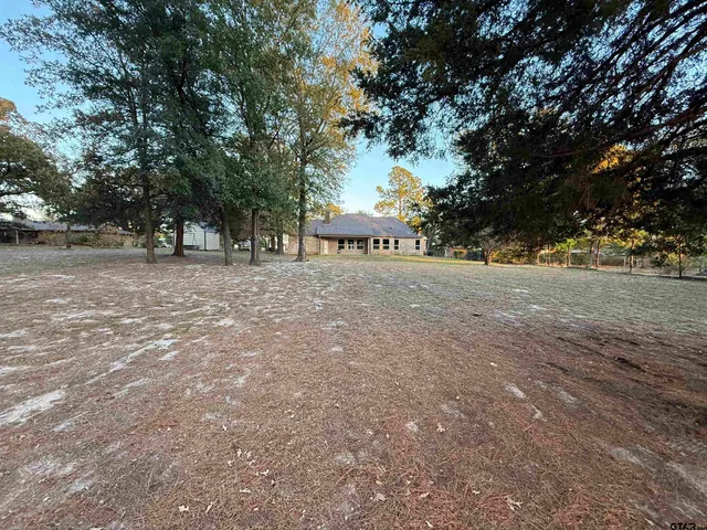 a view of a yard with a tree