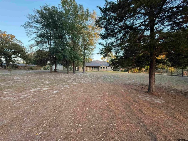 a view of backyard with tree