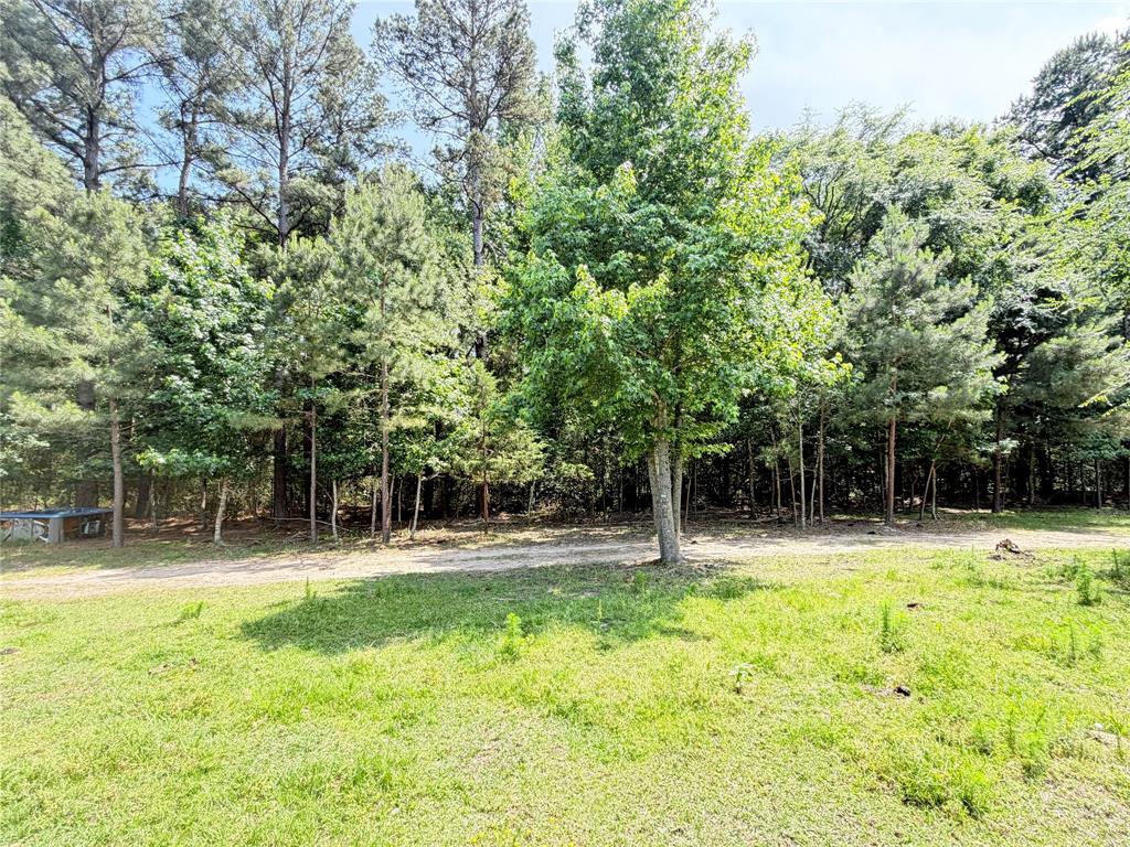 8261 County Road 381 Tyler, TX 75708 - Photo 22 of 40 a backyard of a house with lots of plants and trees
