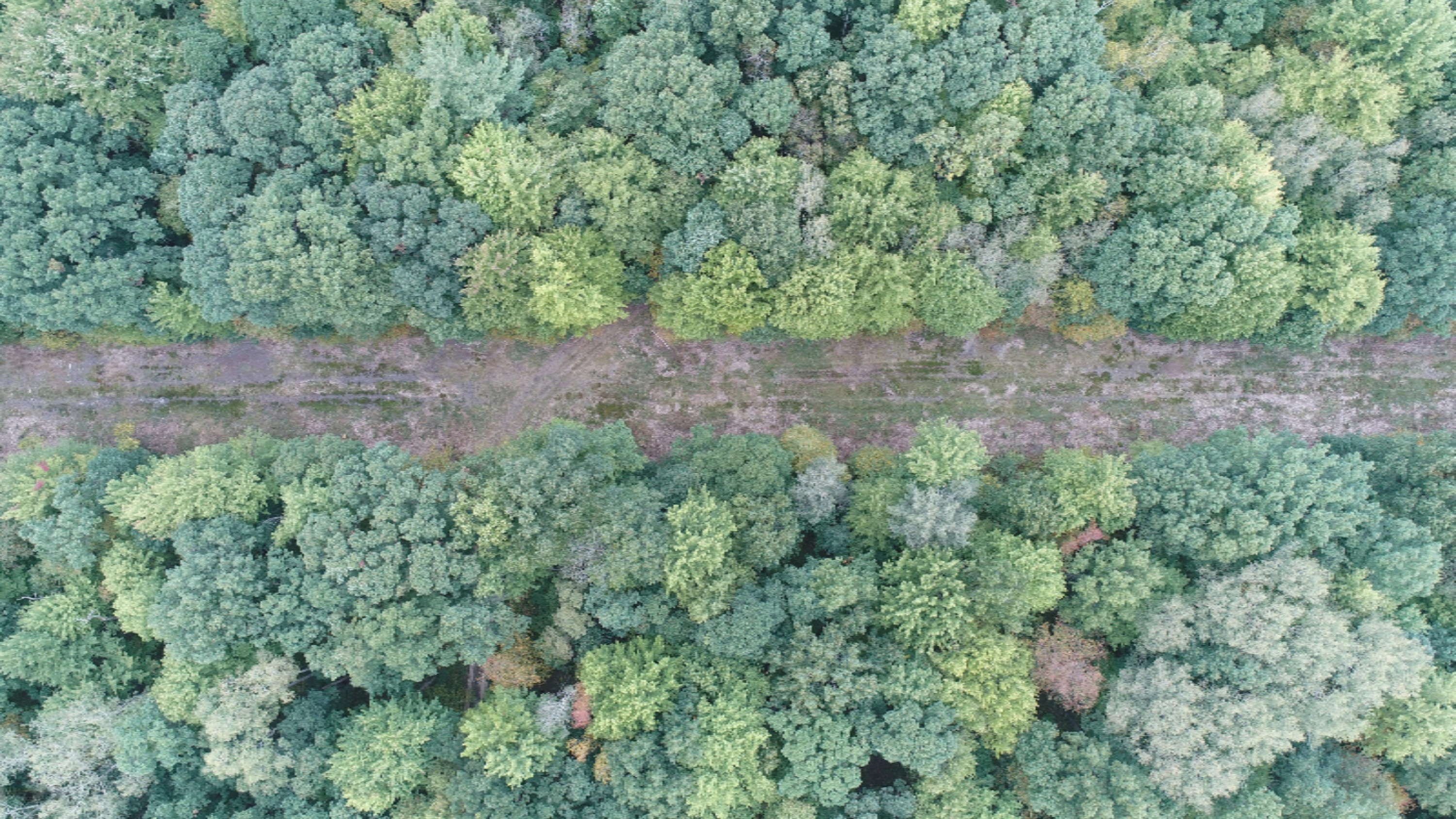 10538 East Bailey Road Ravenna, MI 49451 - Photo 30 of 51 DJI_0157
