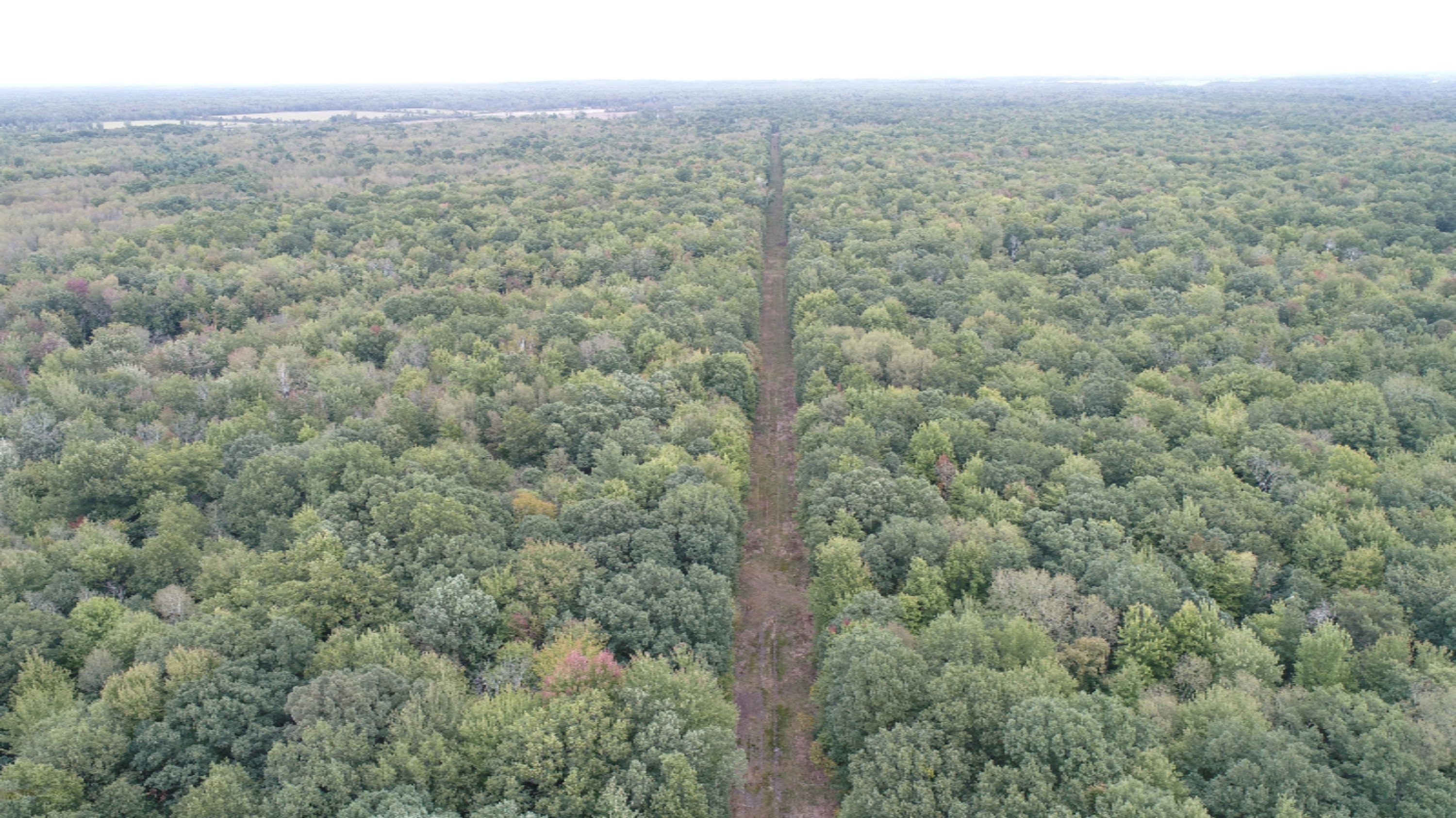 10538 East Bailey Road Ravenna, MI 49451 - Photo 33 of 51 DJI_0161