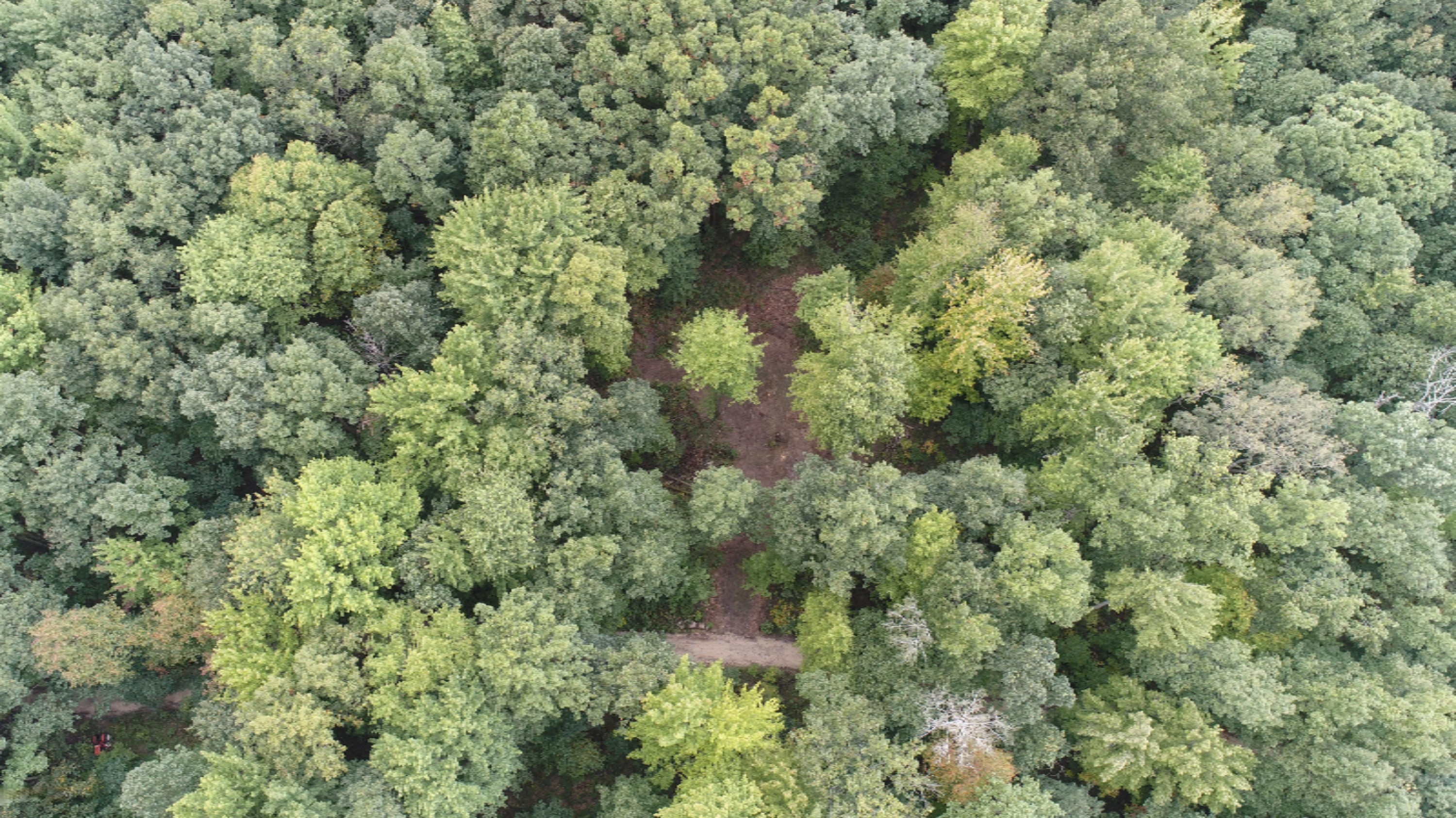 10538 East Bailey Road Ravenna, MI 49451 - Photo 39 of 51 DJI_0170