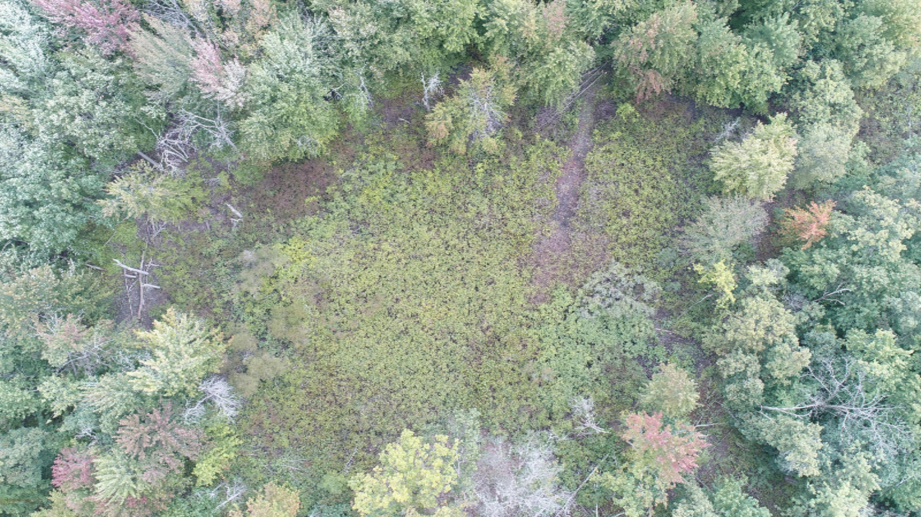 10538 East Bailey Road Ravenna, MI 49451 - Photo 42 of 51 DJI_0150