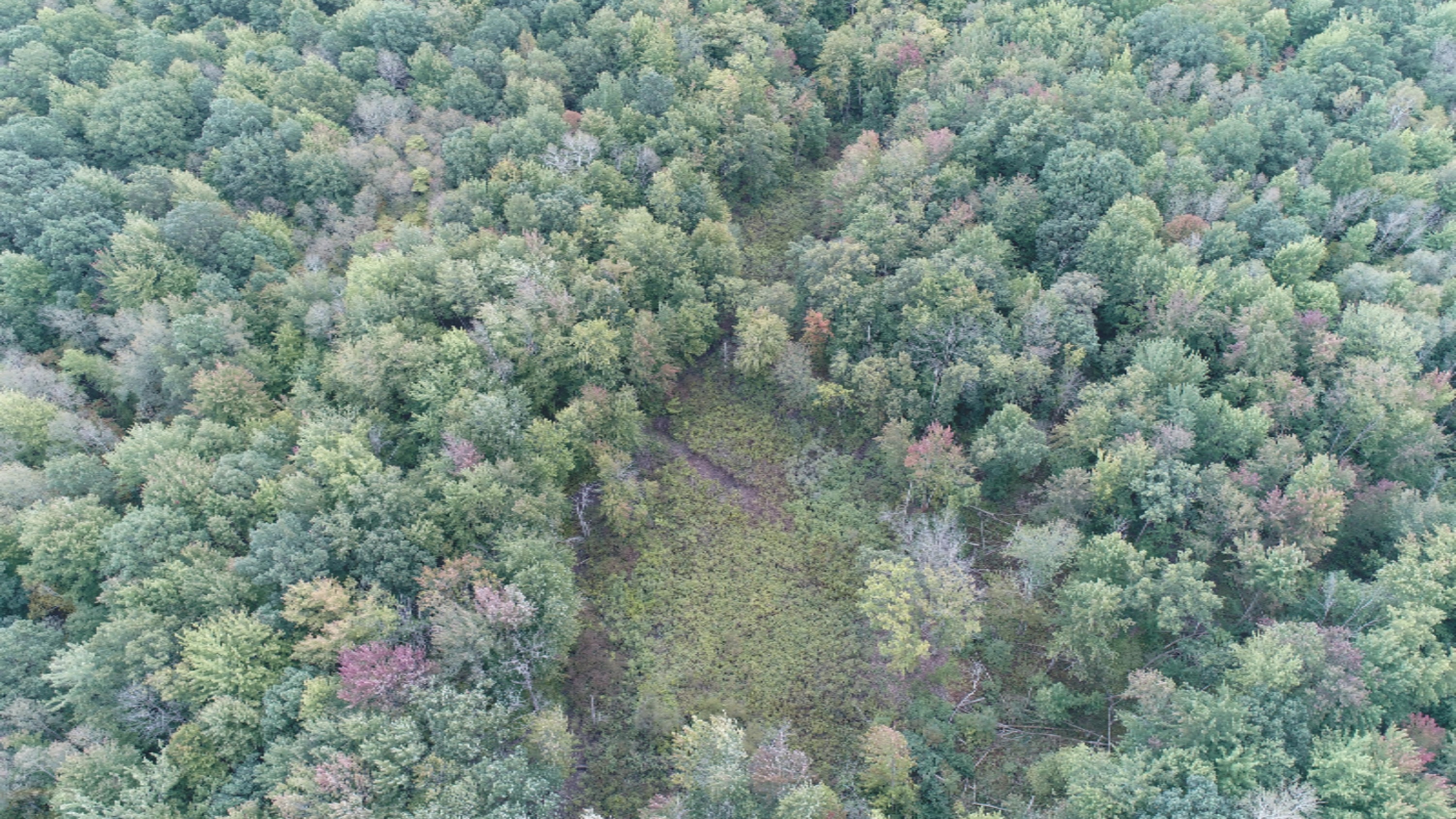 10538 East Bailey Road Ravenna, MI 49451 - Photo 44 of 51 DJI_0153