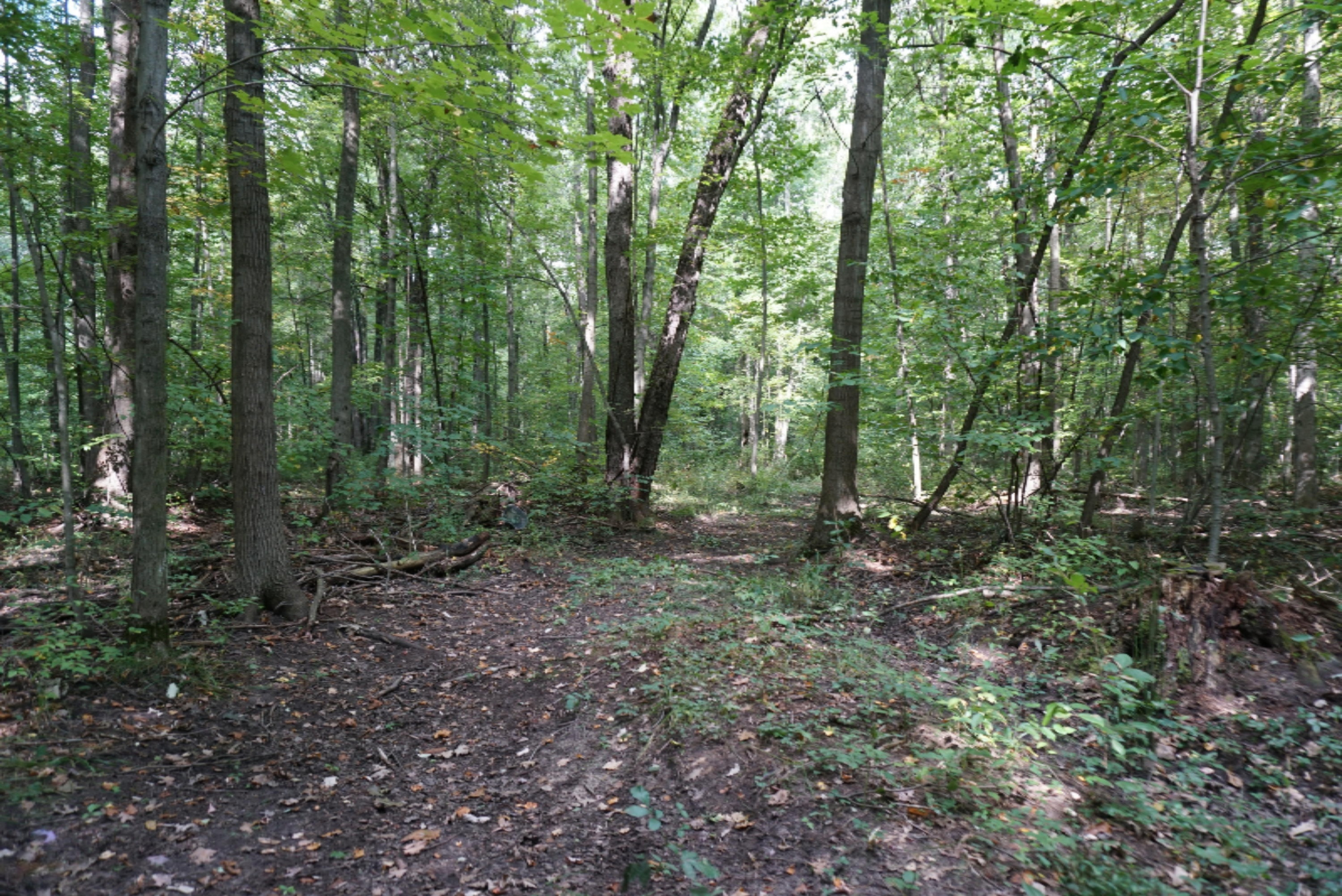 10538 East Bailey Road Ravenna, MI 49451 - Photo 5 of 51 DSC02352