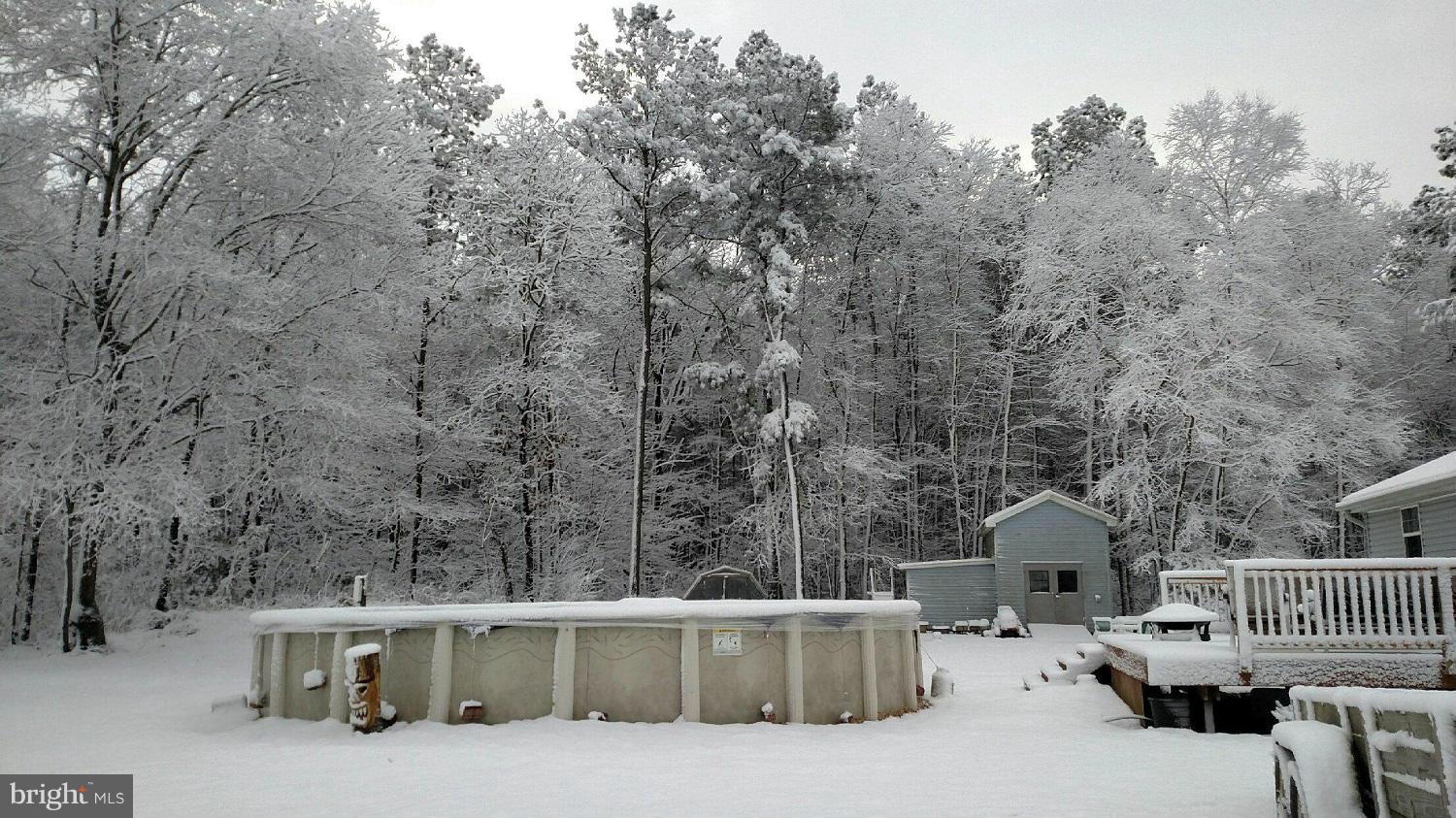 5712 Church Home Road Rhodesdale, MD 21659 - Photo 15 of 15 a view of outdoor space yard and patio