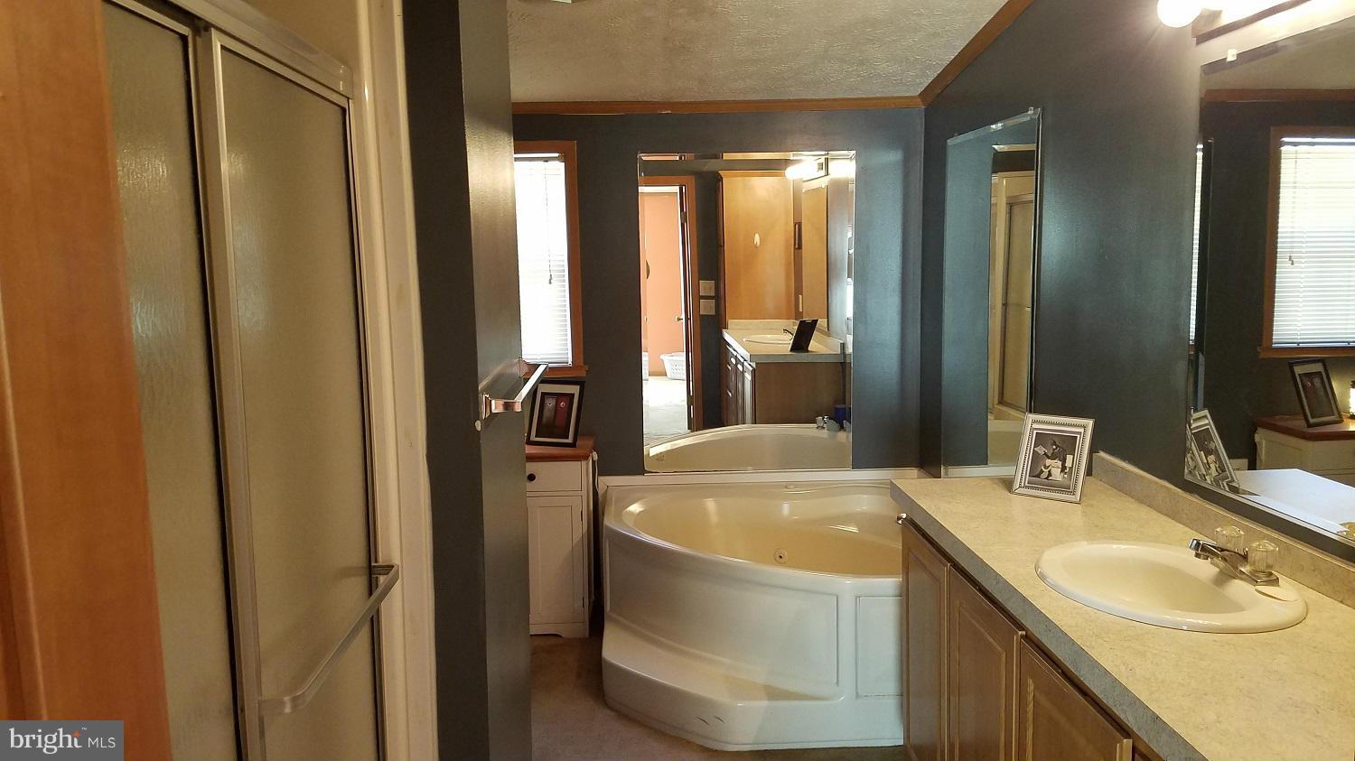 5712 Church Home Road Rhodesdale, MD 21659 - Photo 9 of 15 a bathroom with a granite countertop sink and a mirror