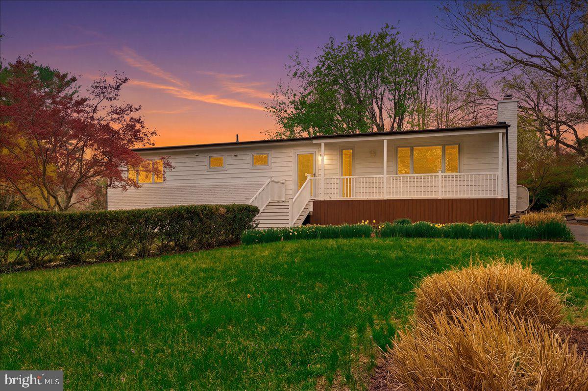 a view of a backyard with plants and large tree