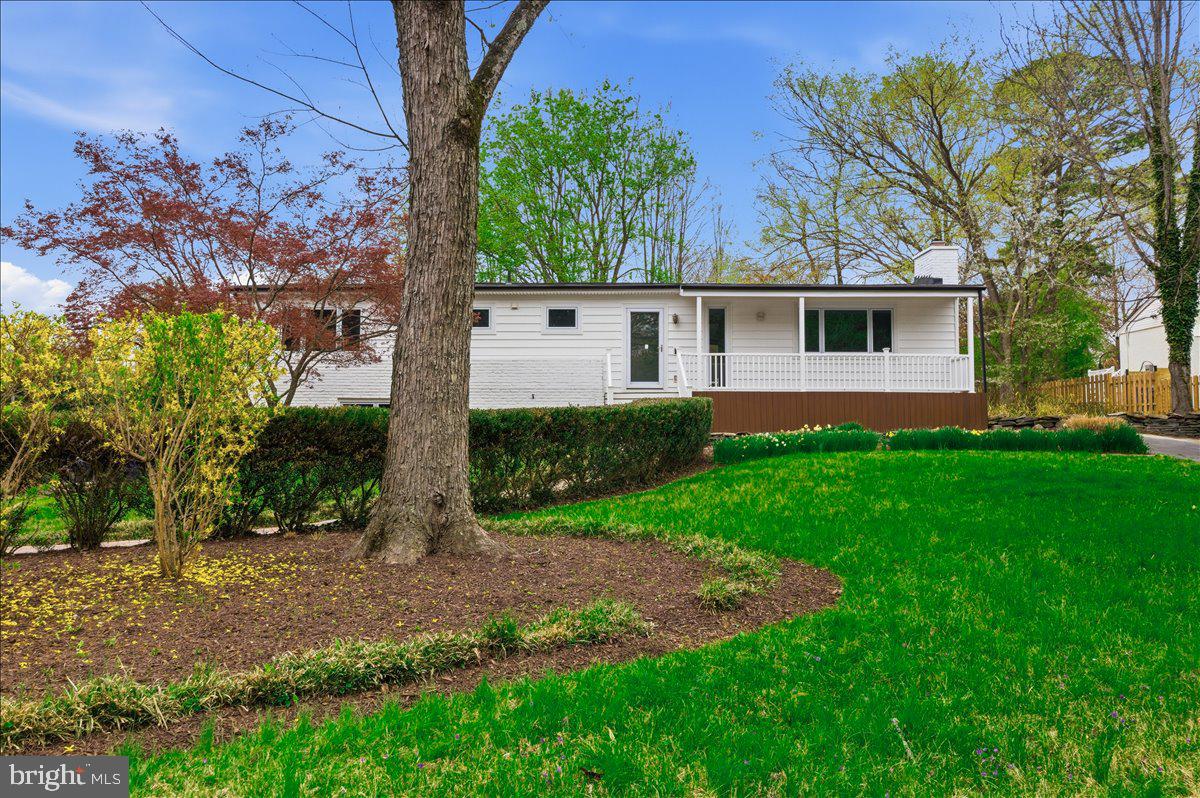 822 Walker Road Great Falls, VA 22066 - Photo 31 of 32 a view of a backyard with plants and large trees