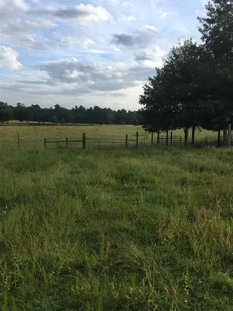a view of a lake with a yard and large trees