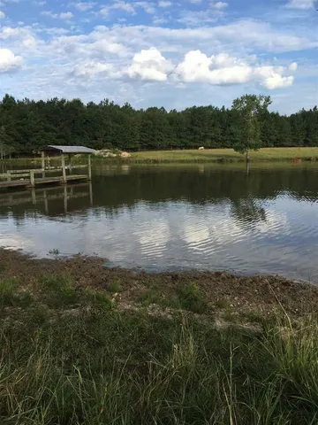 a view of a lake with a city