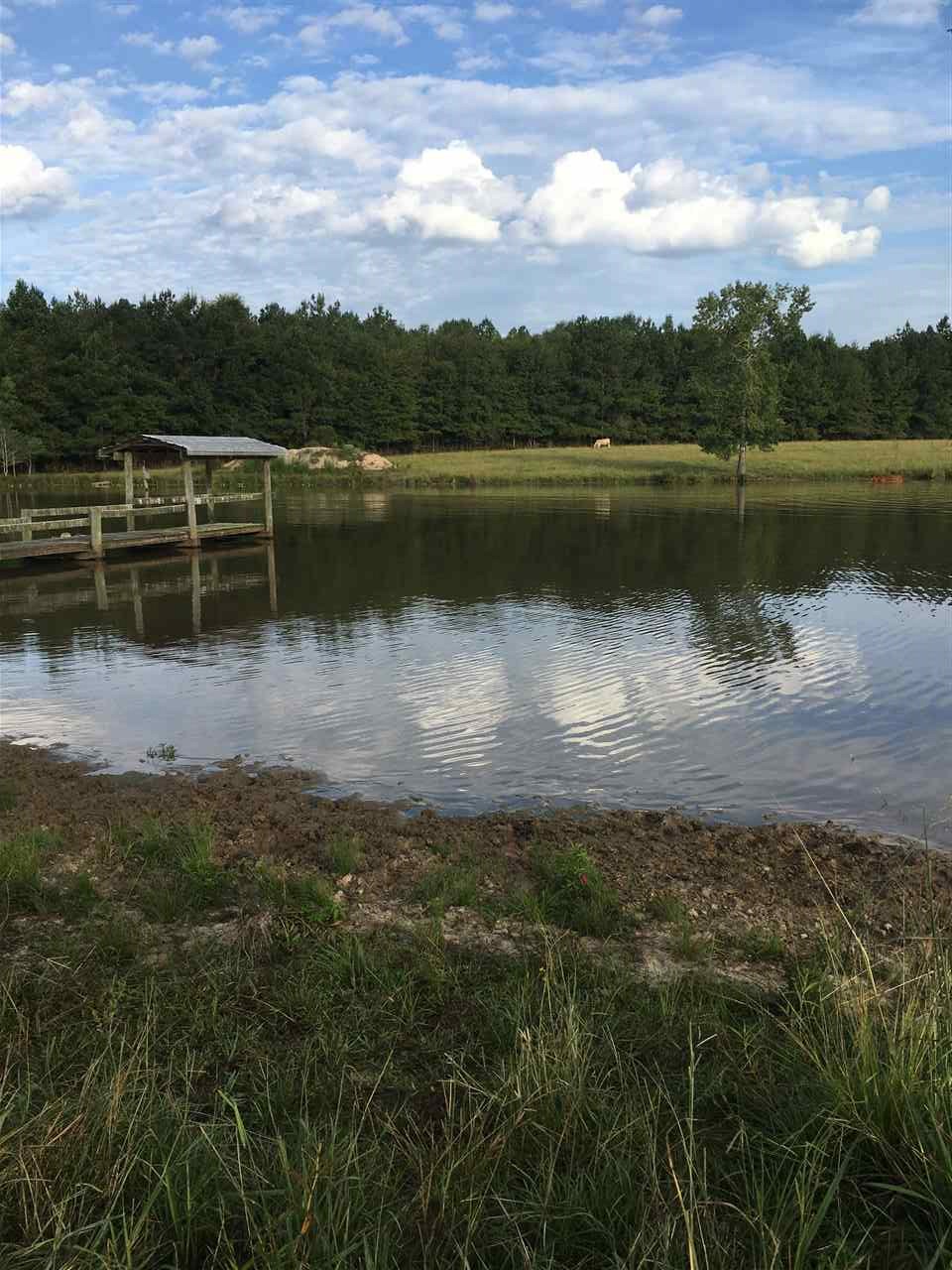20 Butler Lane Collins, MS 39428 - Photo 20 of 24 a view of a lake with a city