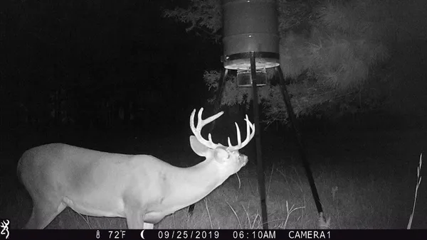 a picture of floor plan