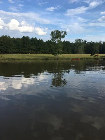 a view of a lake with a city