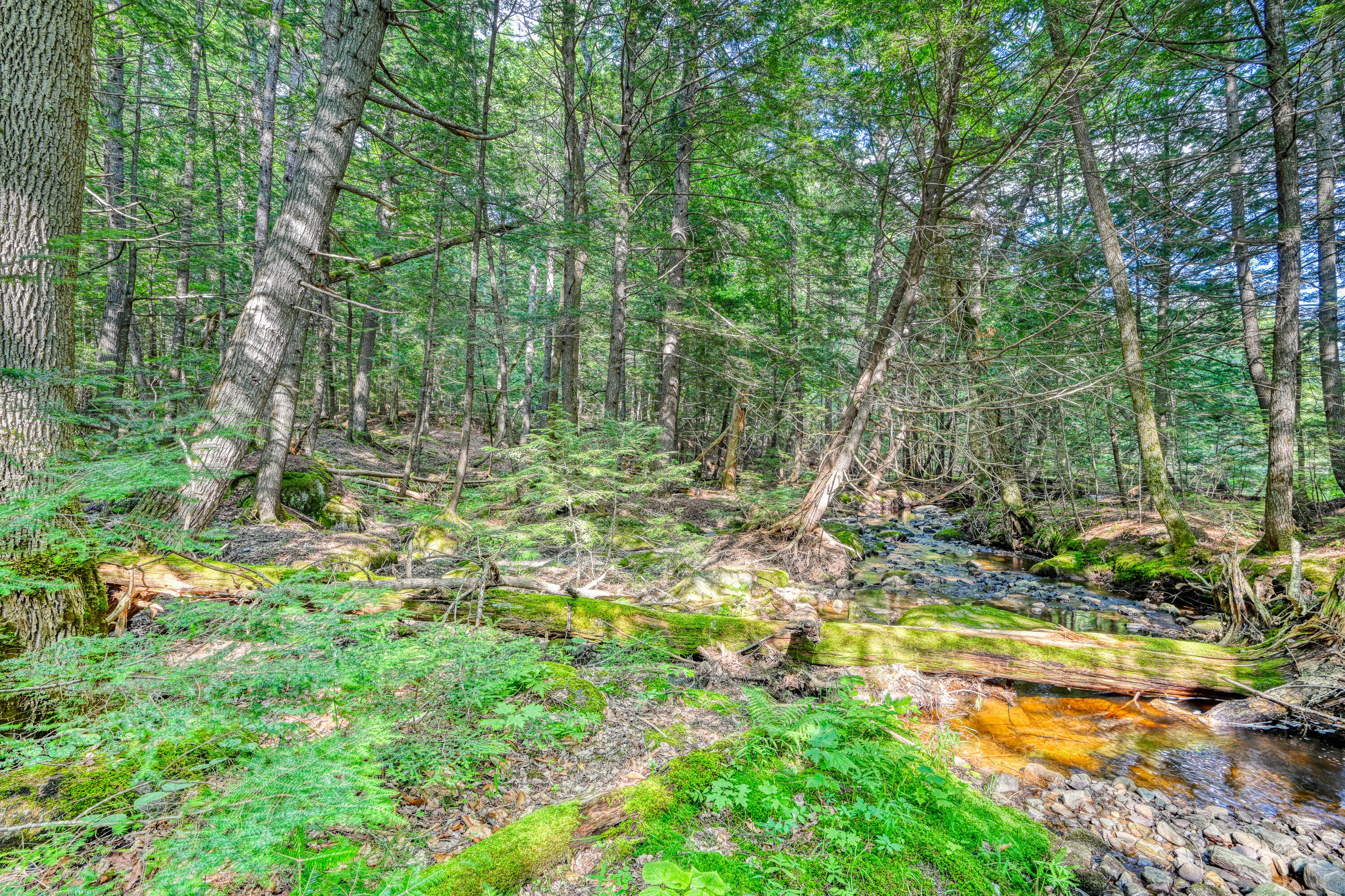 Lot 39 Tims Cove Road Willimantic, ME 04443 - Photo 8 of 17 110091gr-107