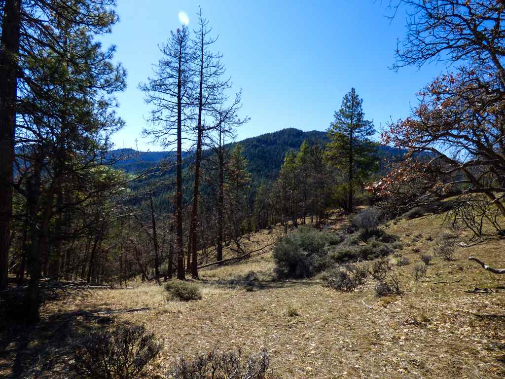 0 Greenhorn Road Yreka, CA 96097 - Photo 2 of 27 Gallery Image 2