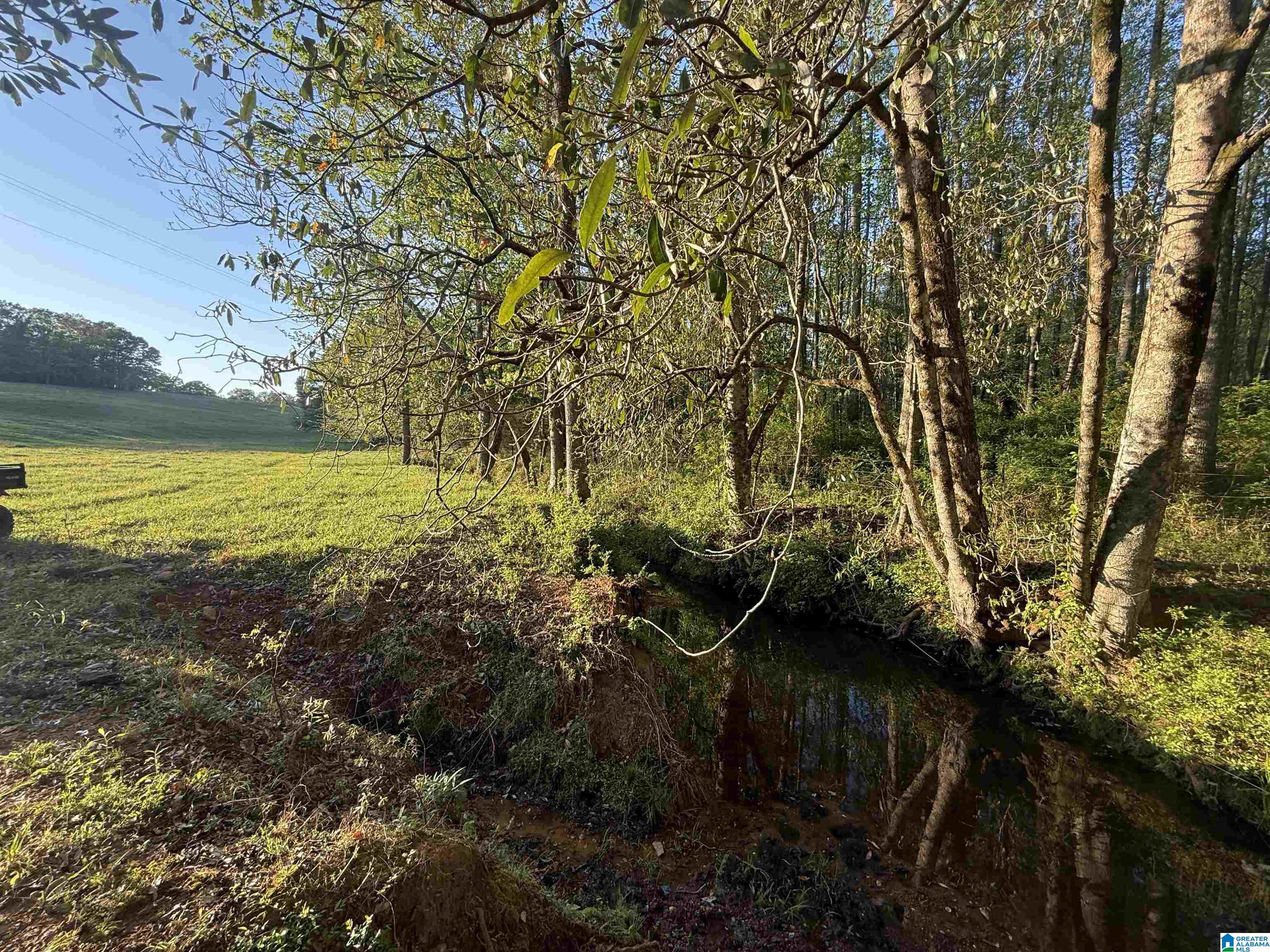 2026 Tyson Road Ashland, AL 36251 - Photo 22 of 63
