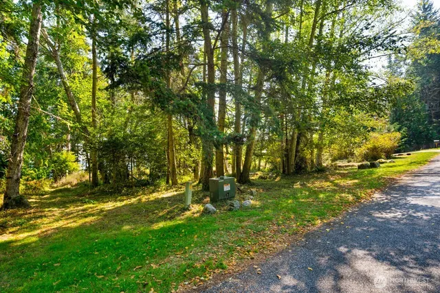 a view of a park with large trees