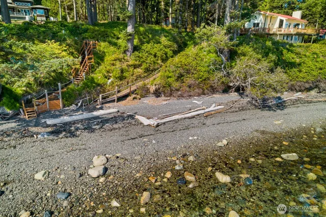 a view of a large yard with plants and large trees