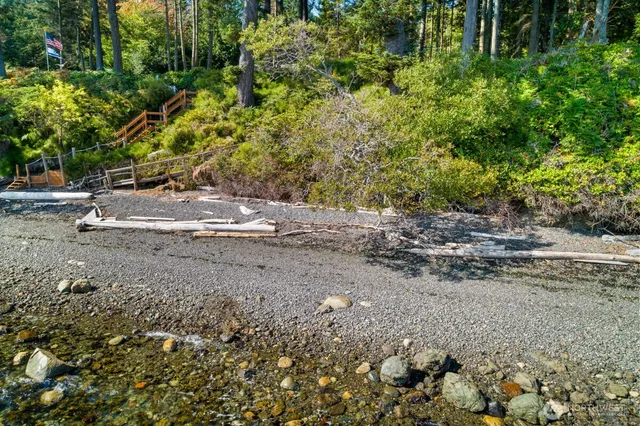 a view of dirt yard with a large tree