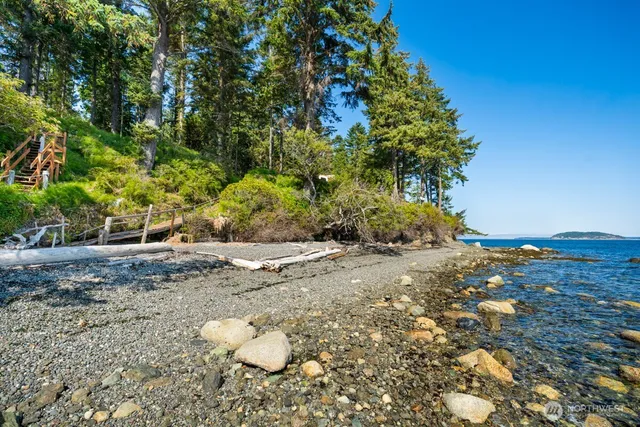 a view of a yard with plants and trees
