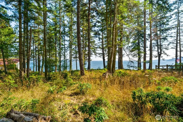 a view of outdoor space with trees
