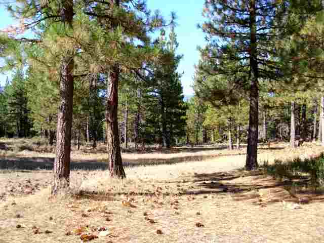 178 C Road Clio, CA 96106 - Photo 1 of 3