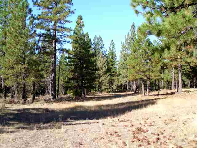 178 C Road Clio, CA 96106 - Photo 2 of 3