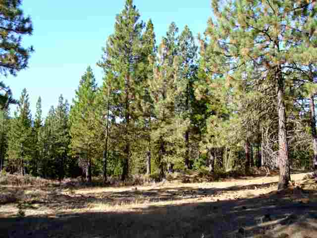 178 C Road Clio, CA 96106 - Photo 3 of 3