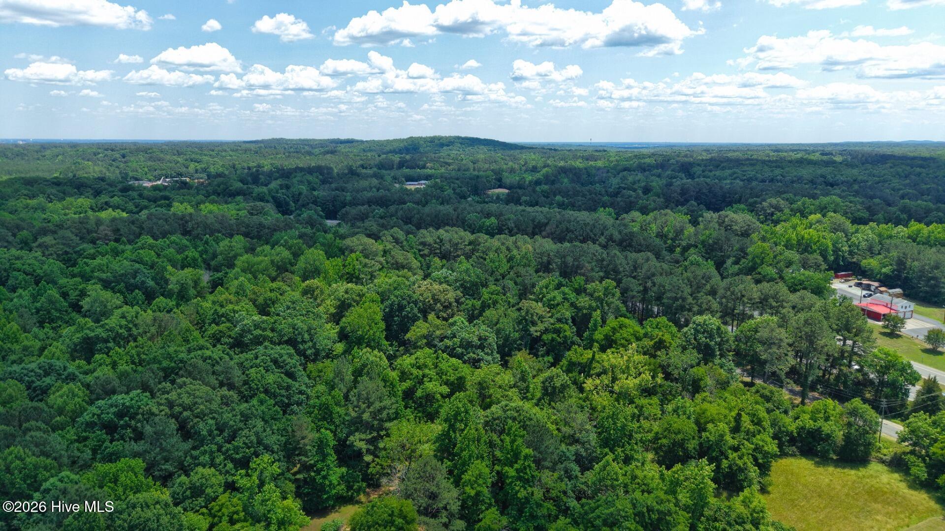 0 Laurel Rdg Road Durham, NC 27705 - Photo 10 of 36
