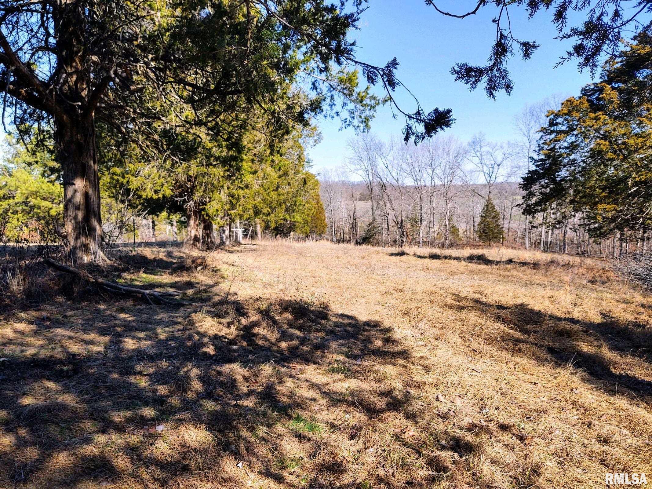 6270 Buncombe Road Buncombe, IL 62912 - Photo 39 of 71